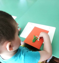 Подснежники - первые весенние цветы. Подснежники - первые весенние цветы.