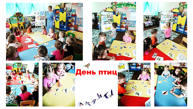 Что за птица? Угадай! Что за птица? Угадай!.